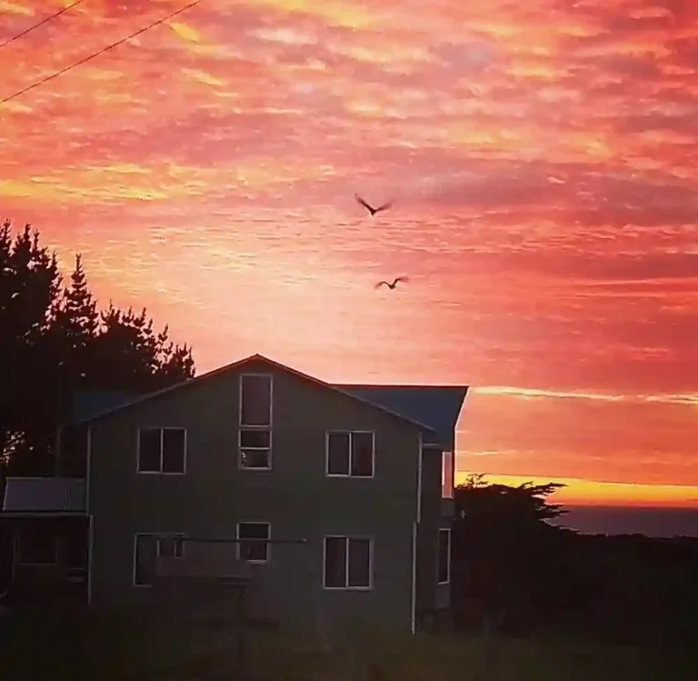 ECO HOSPEDAJE PINGUINERA 002 768x749