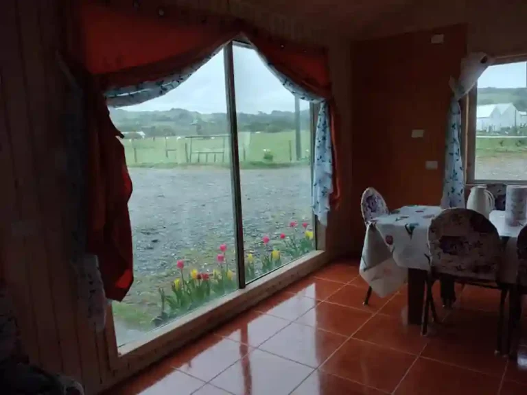 ECO HOSPEDAJE PINGUINERA 004 768x576