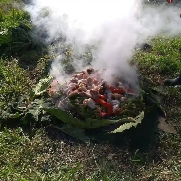 ECO HOSPEDAJE PINGUINERA 011 768x768