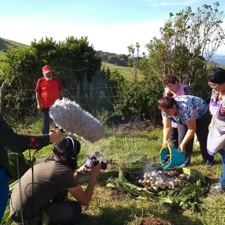 ECO HOSPEDAJE PINGUINERA 012 768x768