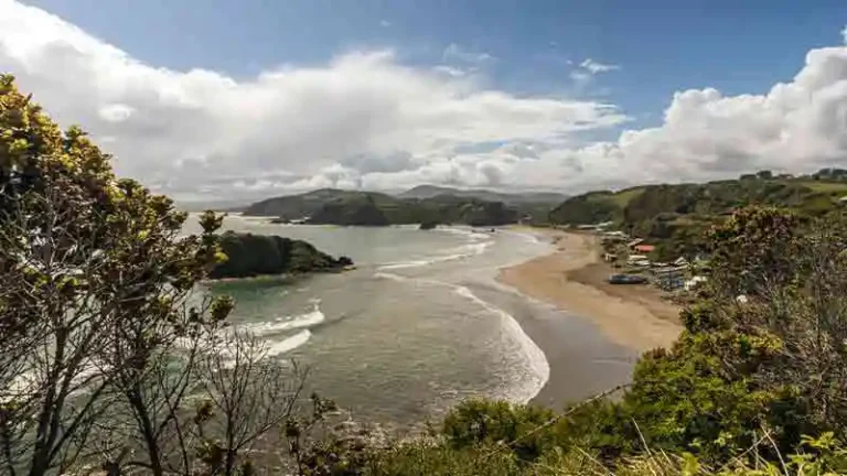 PINGUINERAS 1 768x432