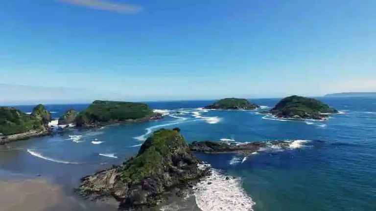 PINGUINERAS 3 768x432