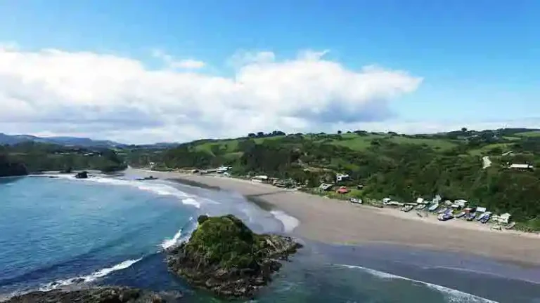 PINGUINERAS 4 768x432