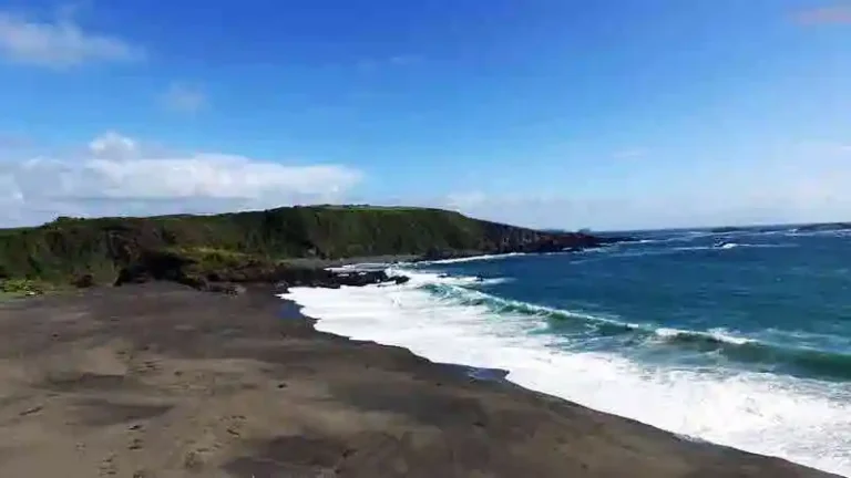 PLAYAROSAURA 1 768x432