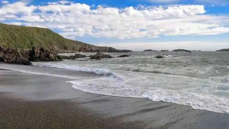 PLAYAROSAURA 2 768x432