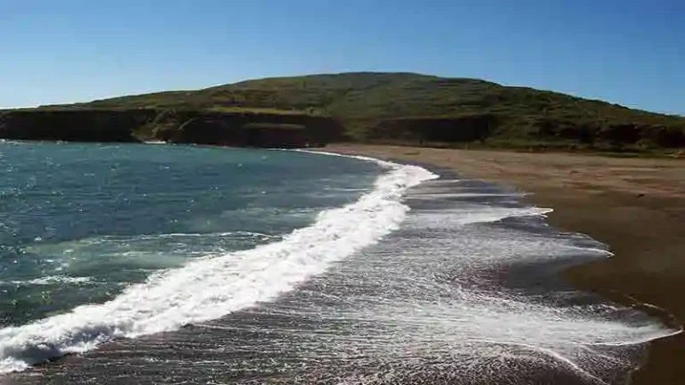 PLAYAROSAURA 3 768x432