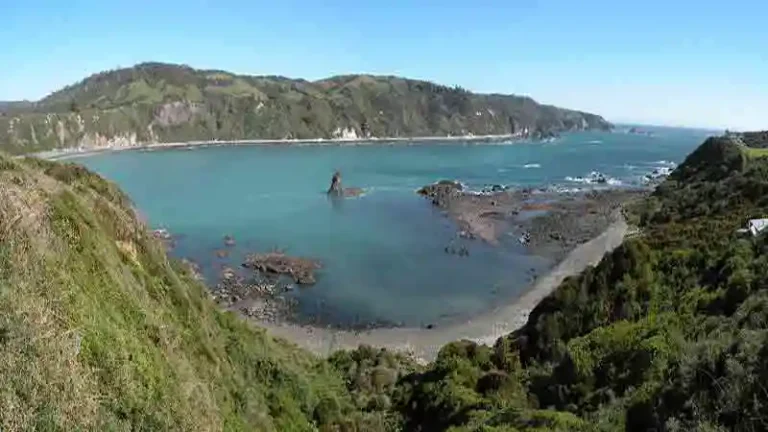 PUMILLAHUE 1 768x432