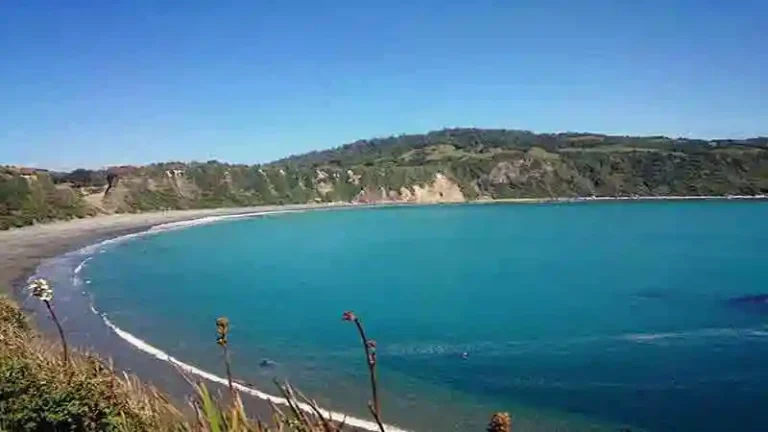 PUMILLAHUE 2 768x432