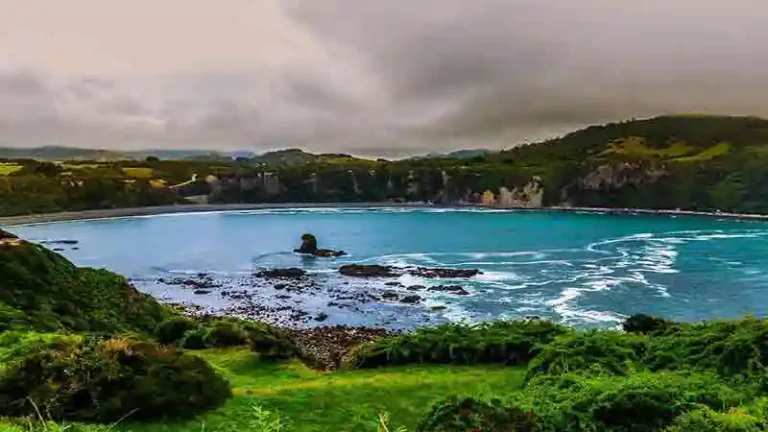 PUMILLAHUE 3 768x432