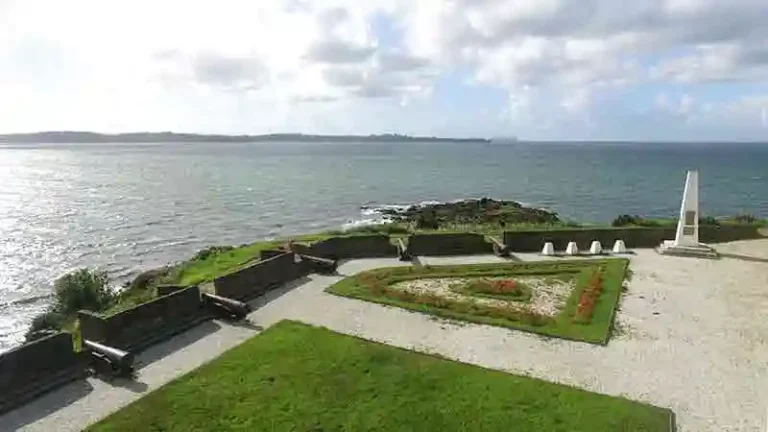 SAN ANTONIO 1 768x432