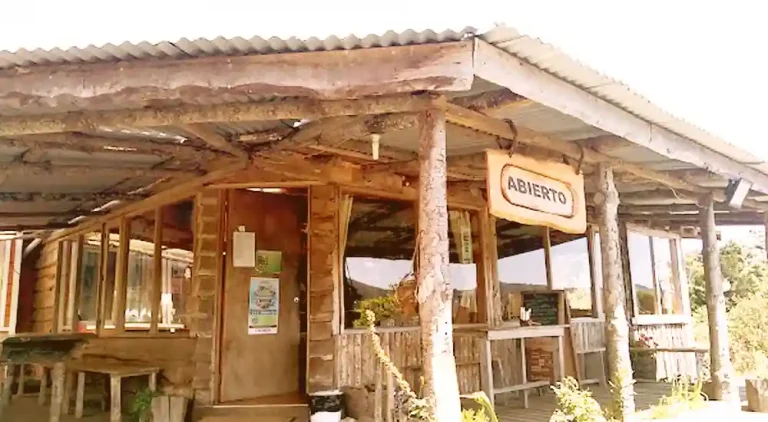 TRADICIONES MORELIA 01 768x422