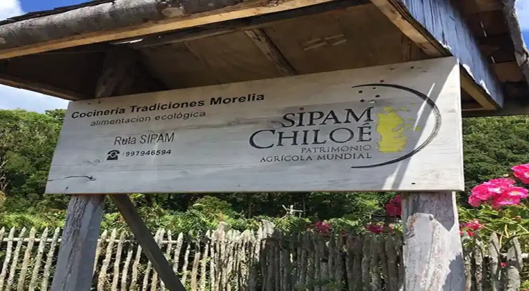 TRADICIONES MORELIA 03 768x422