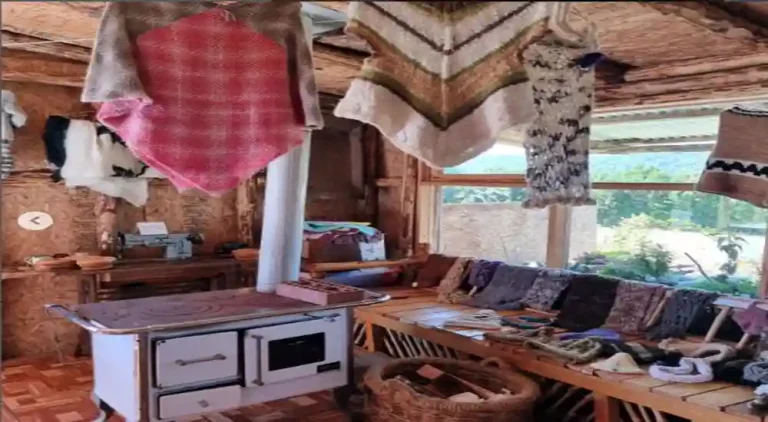 TRADICIONES MORELIA 05 768x422